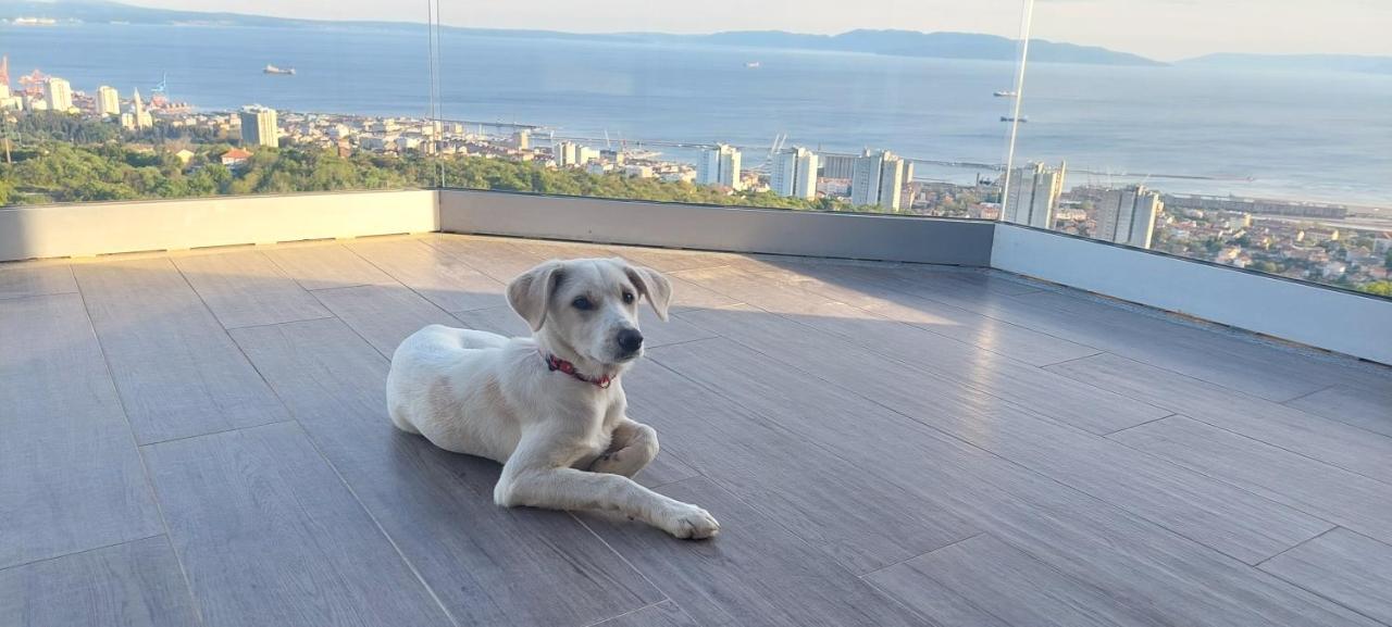 Drenova View Leilighet Rijeka Eksteriør bilde
